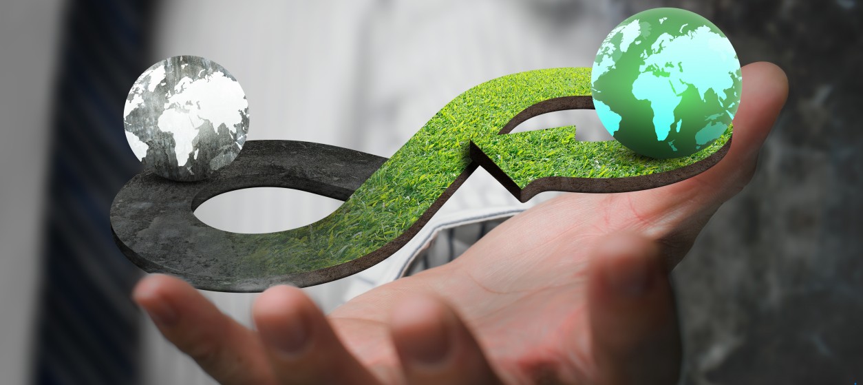Tech Leaders’ Guide to Going Green